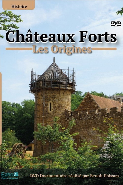 Movie poster for Châteaux-forts : Les origines (2019)