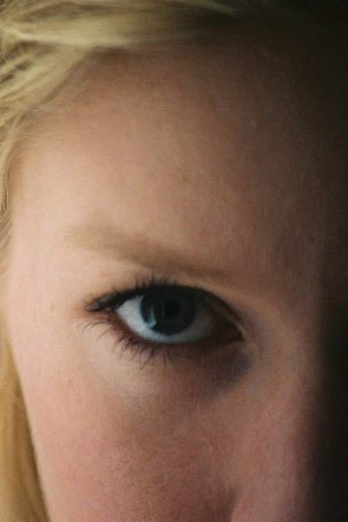 Movie poster for The Deafening Silence of a Very Bright Light (2009)