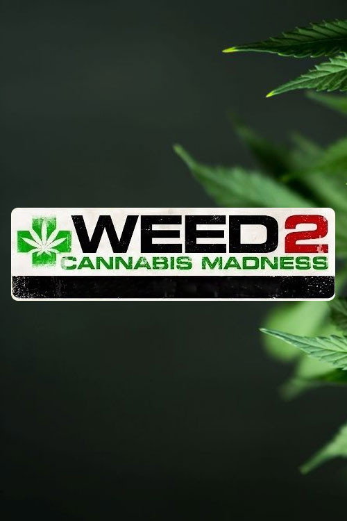 Movie poster for Weed 2: Cannabis Madness (2014)