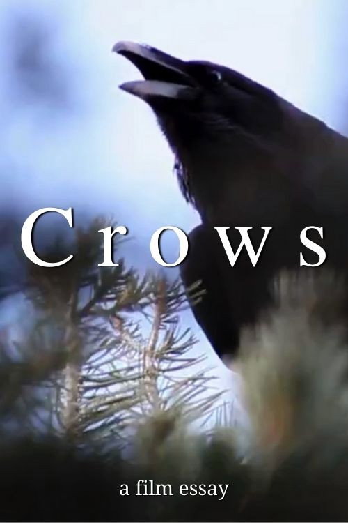 Movie poster for Crows - A film essay (2022)
