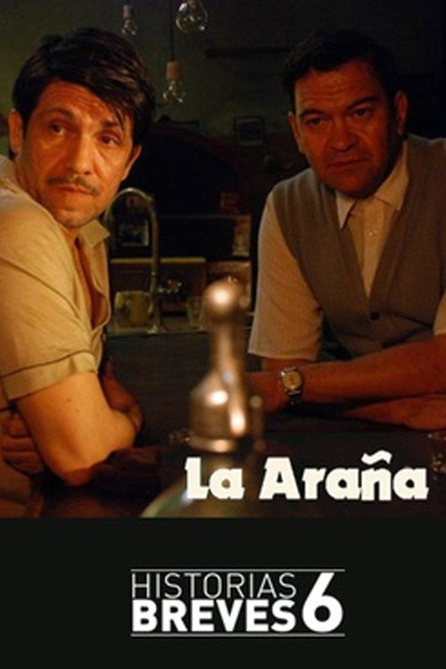 Movie poster for La araña (2010)