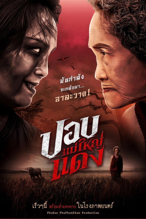 Movie poster for The Haunted Granny (2024)