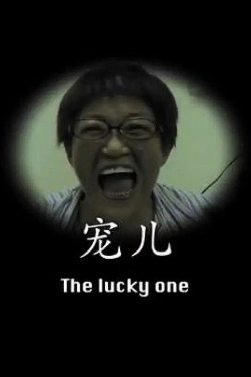 Movie poster for The Lucky One (2011)