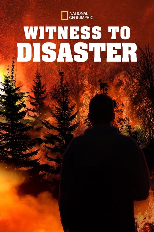 Series poster for Witness to Disaster (2019)
