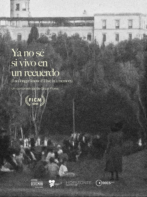 Movie poster for Ya no sé si vivo en un recuerdo