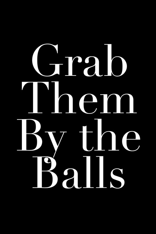 Movie poster for Grab Them By the Balls (2018)