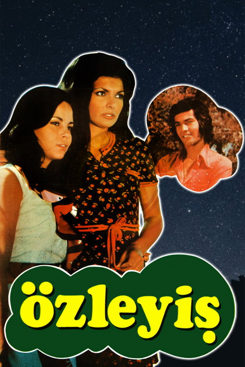 Movie poster for Özleyiş (1974)