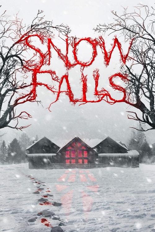 Movie poster for Snow Falls (2023)