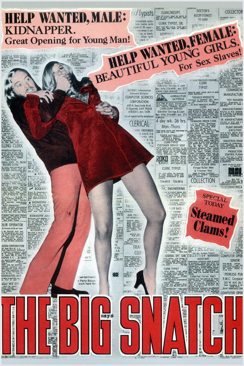 Movie poster for The Big Snatch (1971)