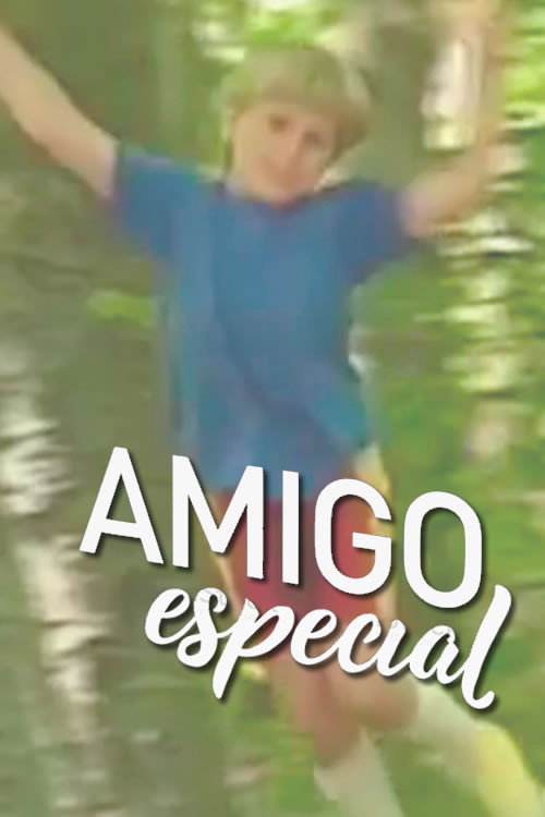 Movie poster for Special Friend (2018)