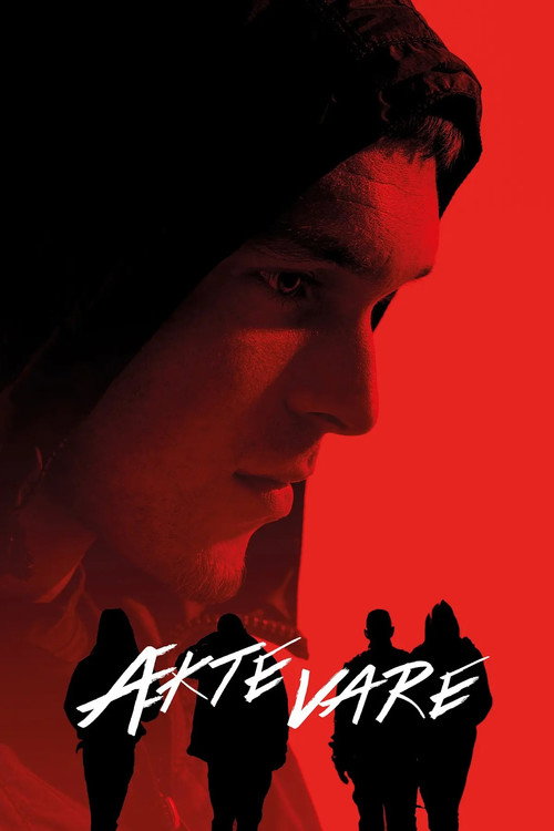 Movie poster for Flow (2014)