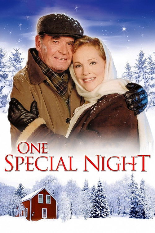 Movie poster for One Special Night (1999)