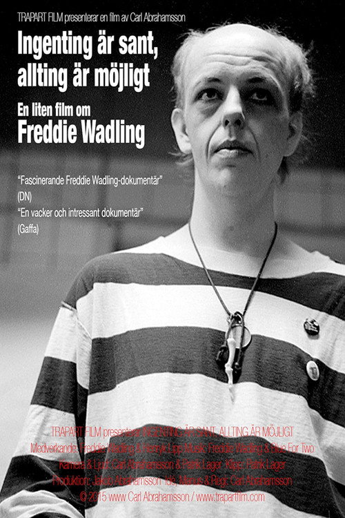 Movie poster for Ingenting är sant, allting är möjligt – en liten film om Freddie Wadling (2015)