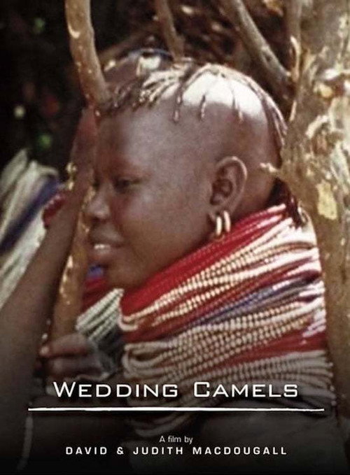 Movie poster for The Wedding Camels (1980)