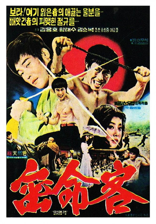 Movie poster for Secret Agent (1976)