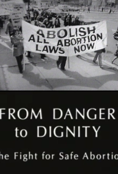 Movie poster for From Danger to Dignity: The Fight For Safe Abortion (1995)