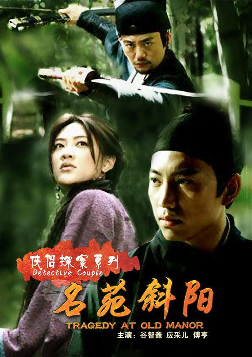 Series poster for 侠侣探案 (2007)