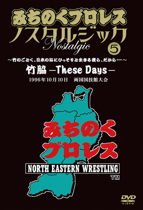Movie poster for Michinoku Pro 3rd Anniversary: These Days (1996)