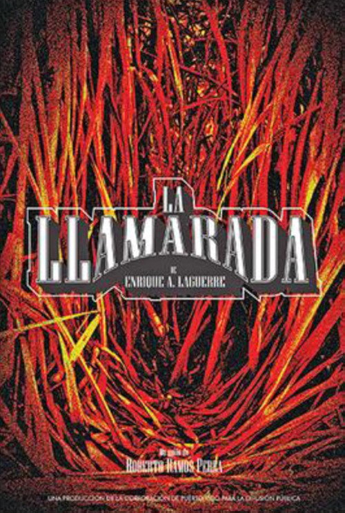 Movie poster for La llamarada (2016)
