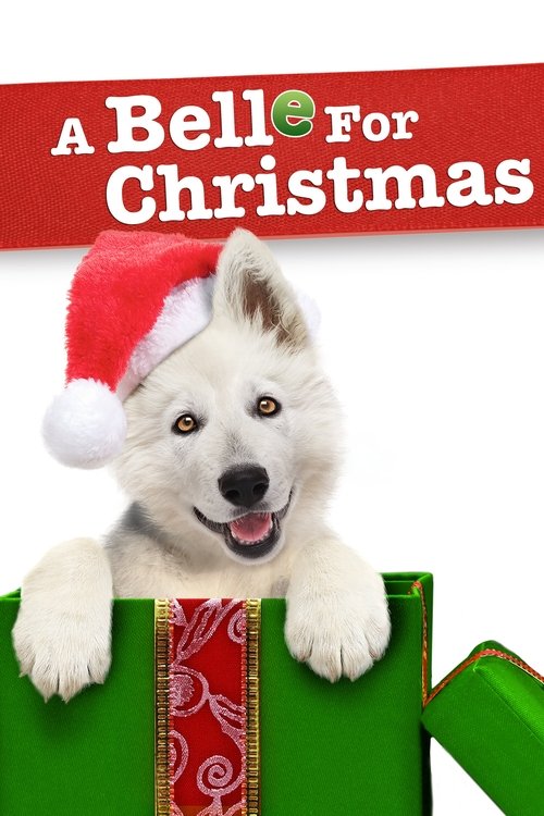 Movie poster for A Belle for Christmas (2014)