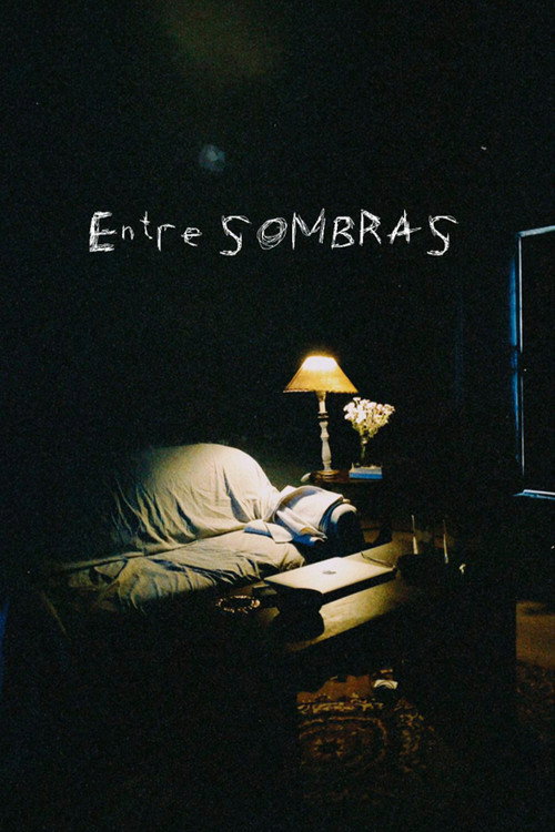 Movie poster for Entre sombras (2022)