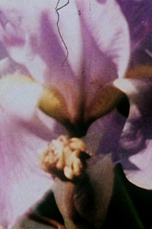 Movie poster for Fleurs sans titre (2002)