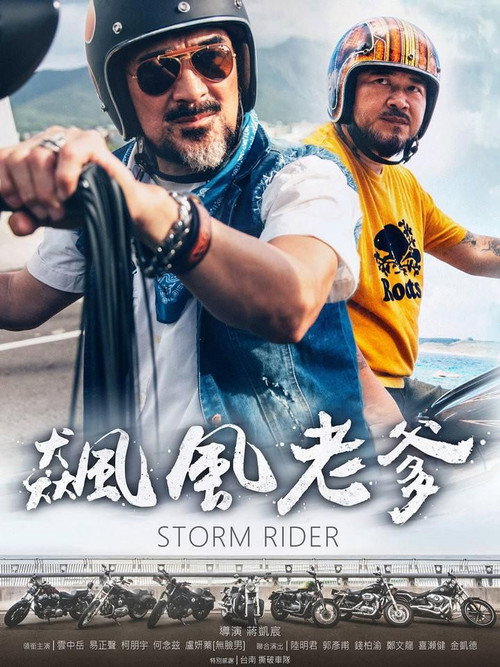 Movie poster for 飙风老爹 (2017)