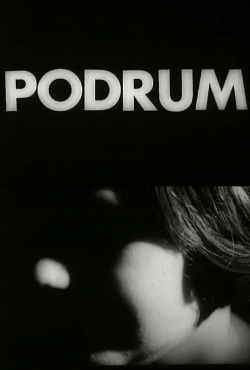 Movie poster for The Basement (1971)