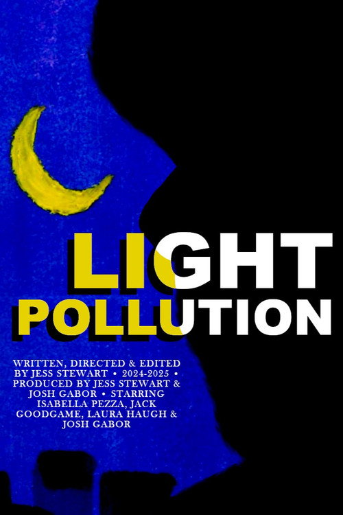 Movie poster for Light Pollution