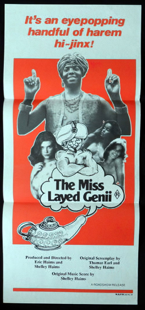 Movie poster for The Mislayed Genie (1973)