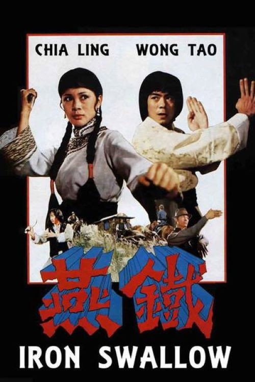 Movie poster for Iron Swallow (1978)