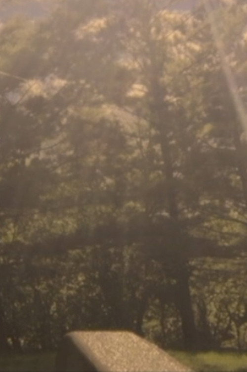 Movie poster for UFO (2016)