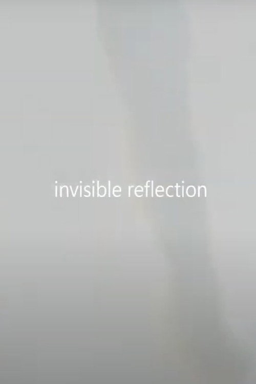 Movie poster for invisible reflection (2021)