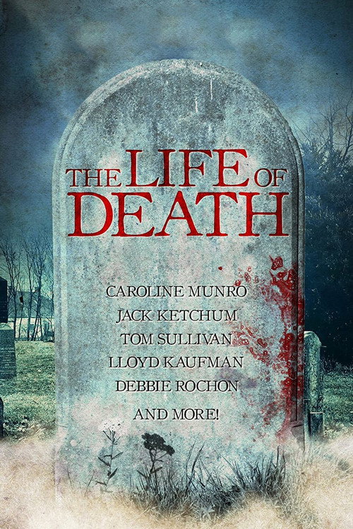 Movie poster for The Life of Death (2015)