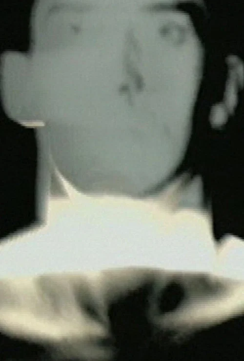 Movie poster for Die Dyer (1999)