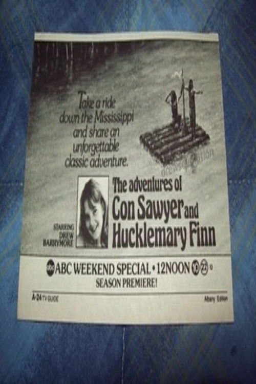 Movie poster for The Adventures of Con Sawyer and Hucklemary Finn (1985)