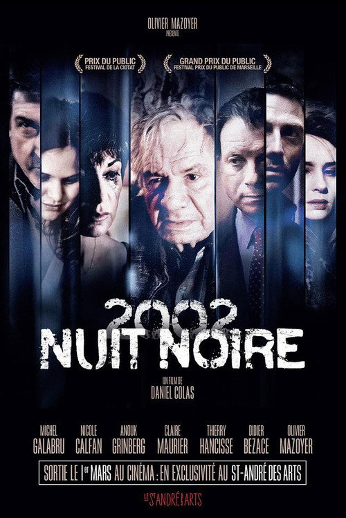 Movie poster for Nuit noire (2017)