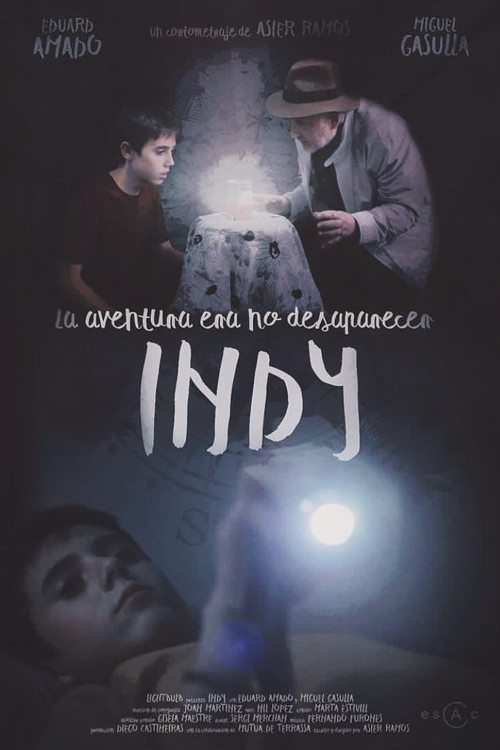 Movie poster for INDY (2016)