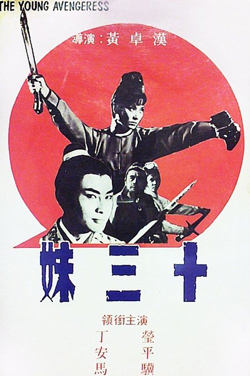 Movie poster for The Young Avengeress (1969)