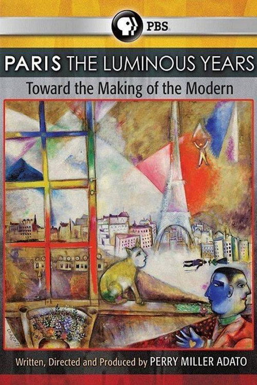 Movie poster for Paris: The Luminous Years (2010)
