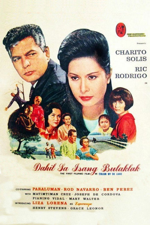 Movie poster for Because of a Flower (1967)