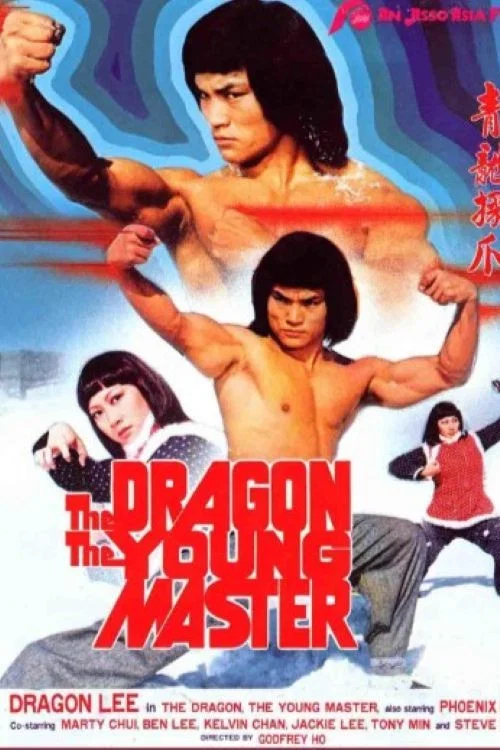 Movie poster for Dragon, the Young Master (1981)