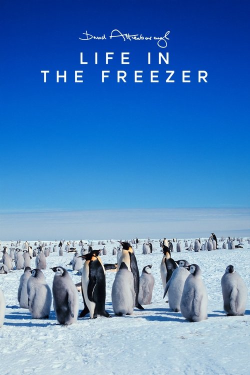 Life in the Freezer poster