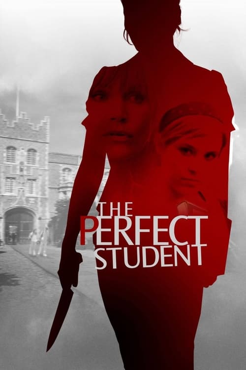 Movie poster for The Perfect Student (2011)