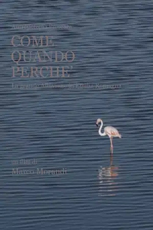 Movie poster for Come quando perché (2024)