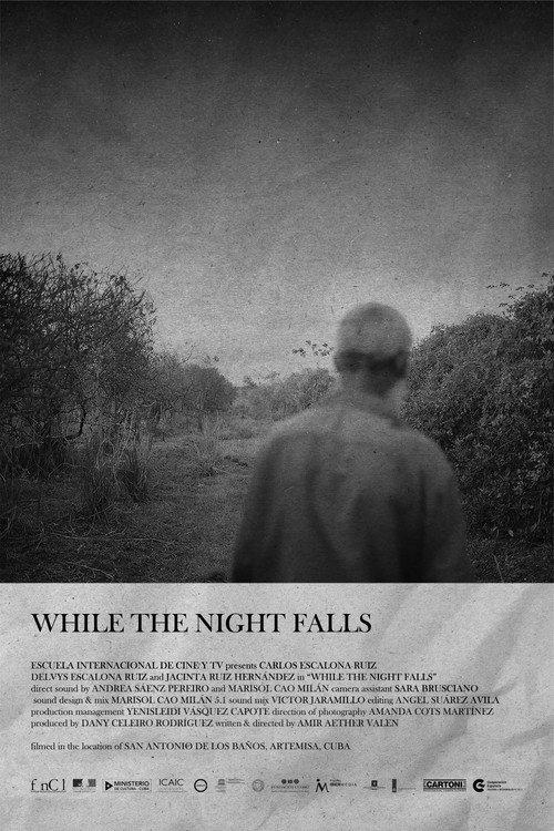 Movie poster for While The Night Falls (2023)