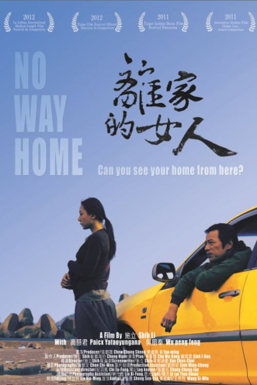 Movie poster for No Way Home (2012)
