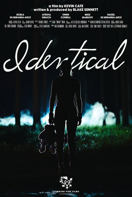 Movie poster for Identical (2024)