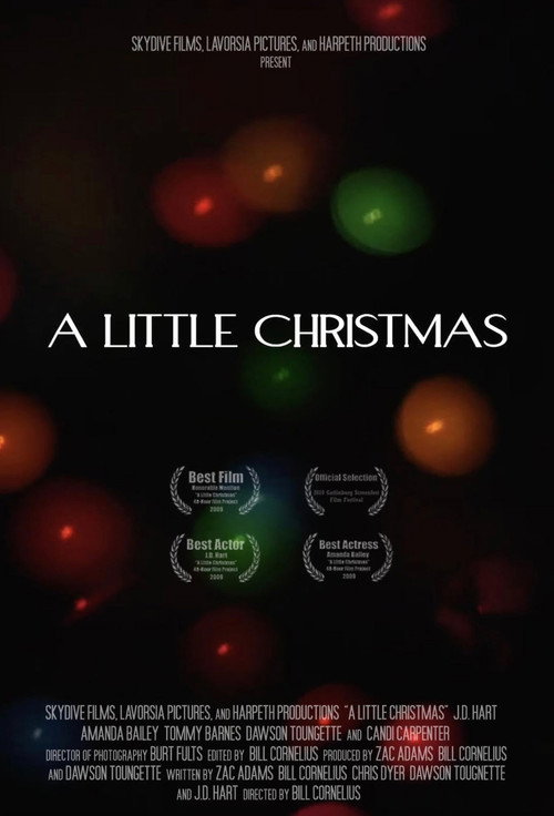 Movie poster for A Little Christmas (2009)
