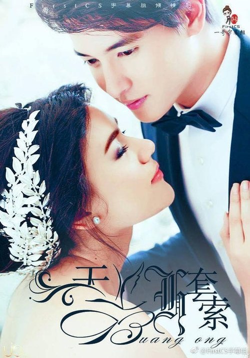 Series poster for A Lasso For a Swan (2017)